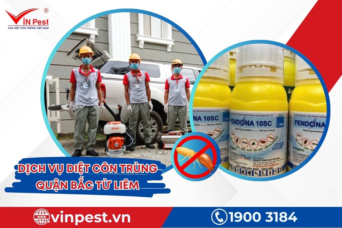 Dịch vụ diệt côn trùng quận Bắc Từ Liêm tại VinPest Dịch vụ diệt côn trùng quận Bắc Từ Liêm tại VinPest