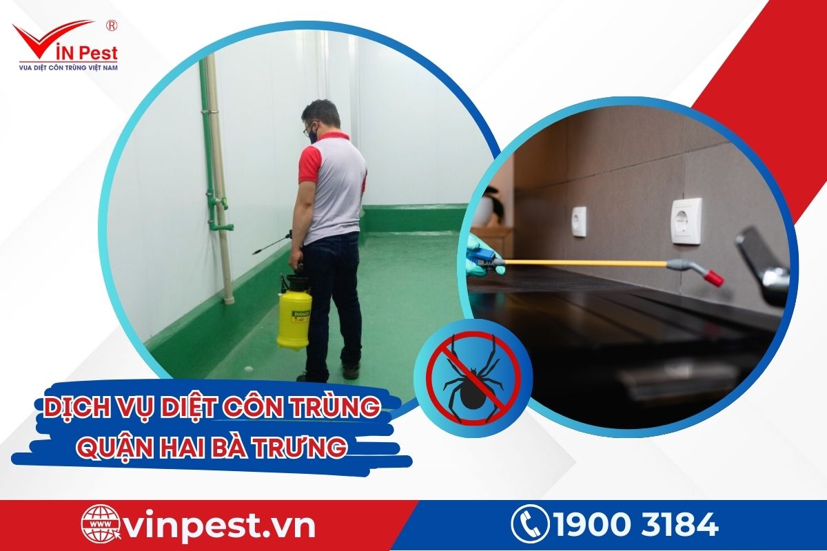 Dịch vụ diệt côn trùng quận Hai Bà Trưng của Vinpest Dịch vụ diệt côn trùng quận Hai Bà Trưng của Vinpest