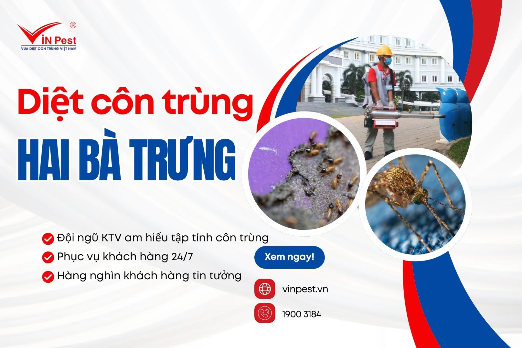 Dịch vụ diệt côn trùng quận Hai Bà Trưng của Vinpest