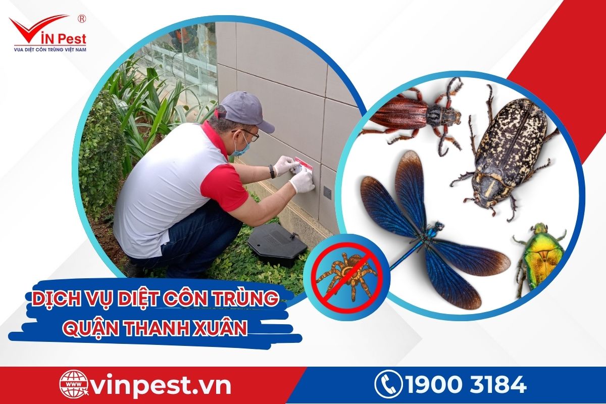 Dịch vụ diệt côn trùng quận Thanh Xuân của Vinpest