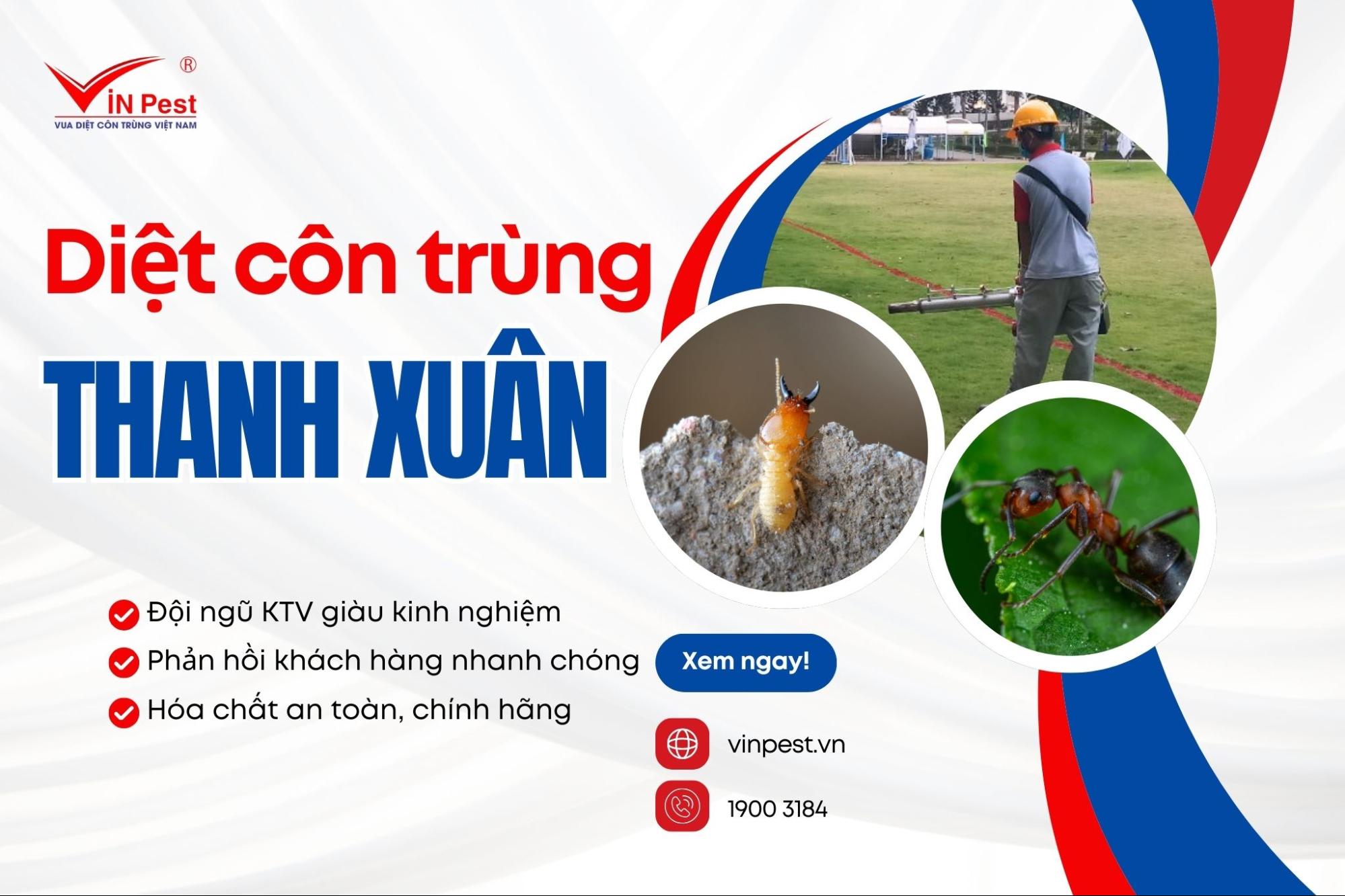 Dịch vụ diệt côn trùng quận Thanh Xuân