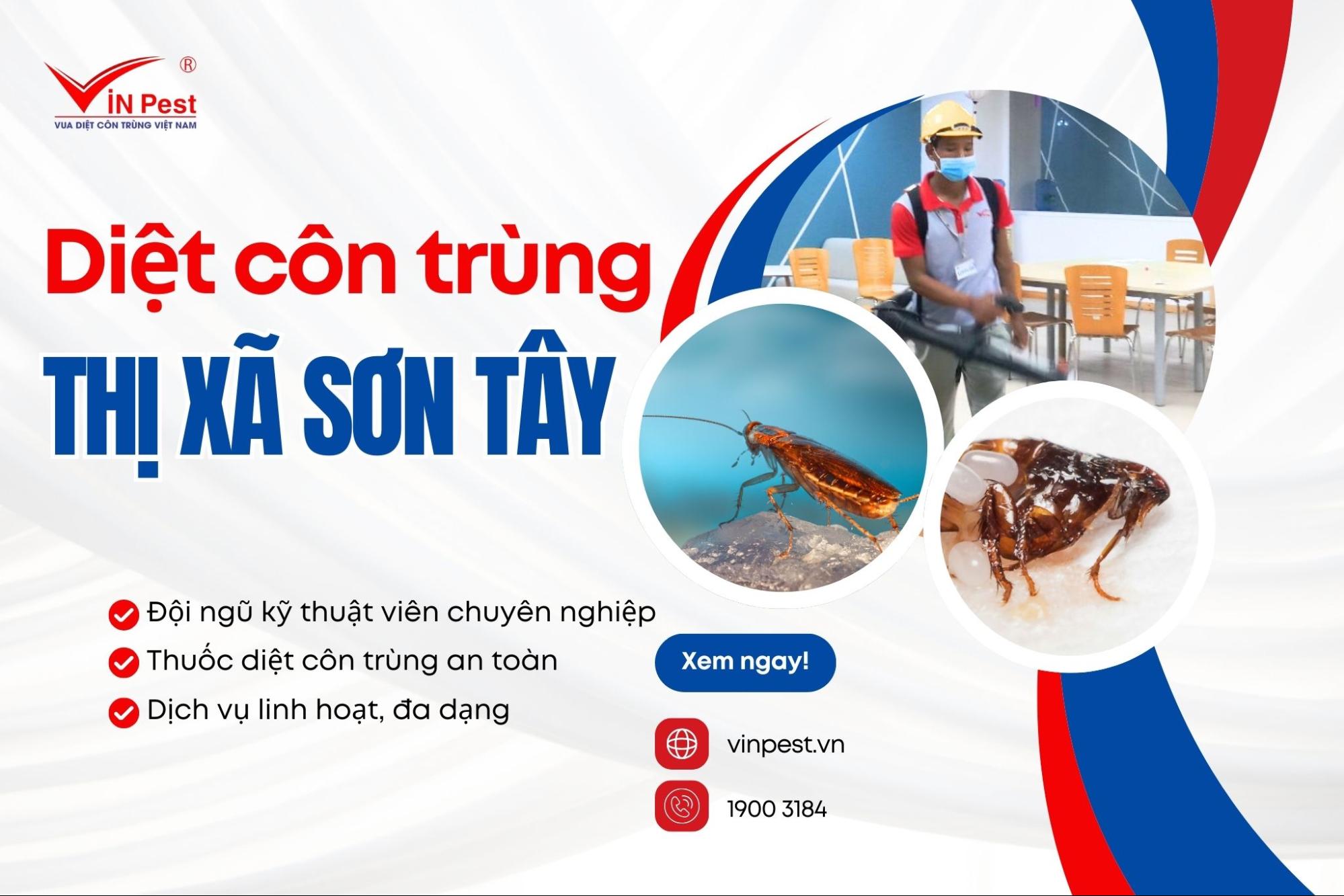 Dịch vụ diệt côn trùng thị xã Sơn Tây của VinPest