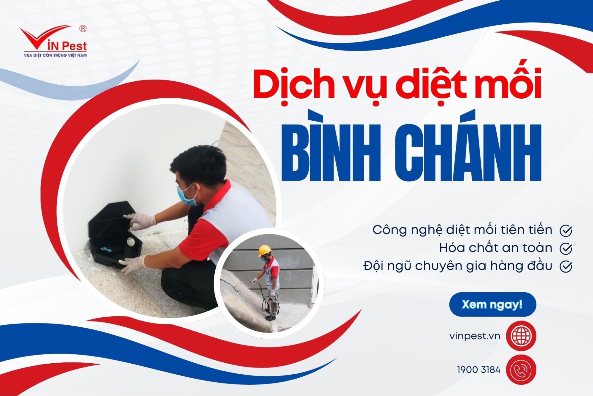 Dịch vụ diệt mối tại Bình Chánh của Vinpest