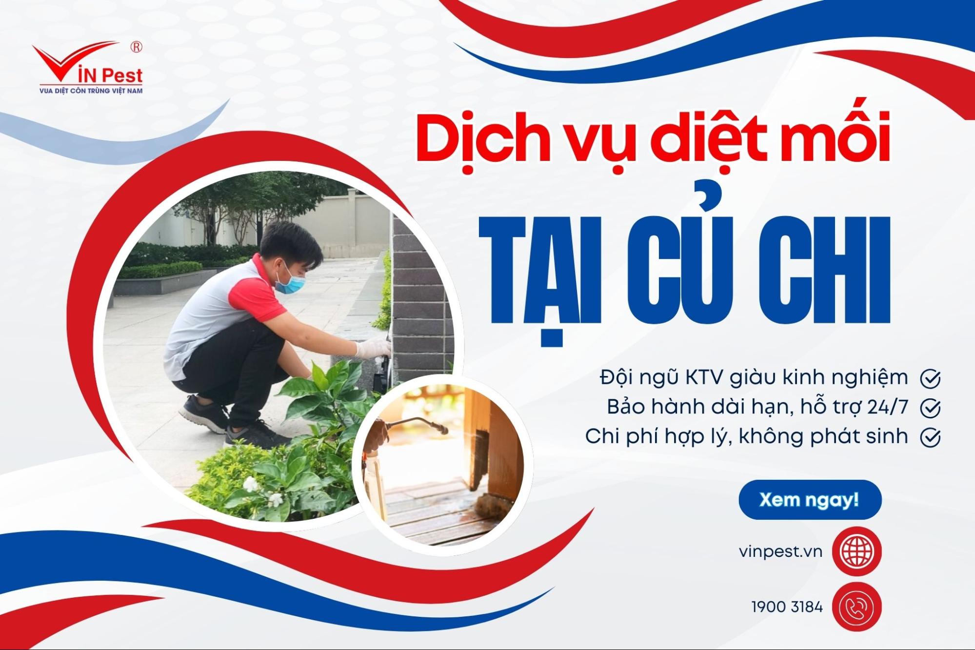 Dịch vụ diệt mối tại Củ Chi tại Vinpest