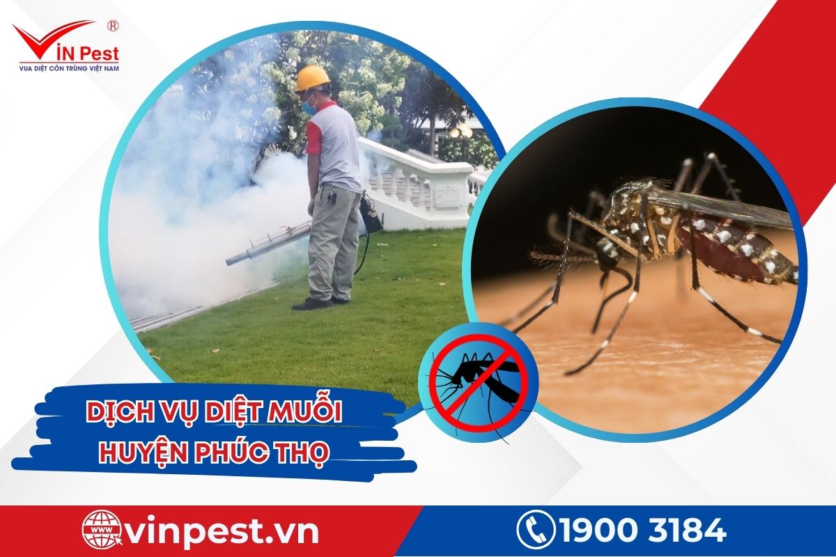 Dịch vụ diệt muỗi huyện Phúc Thọ của Vinpest Dịch vụ diệt muỗi huyện Phúc Thọ của Vinpest