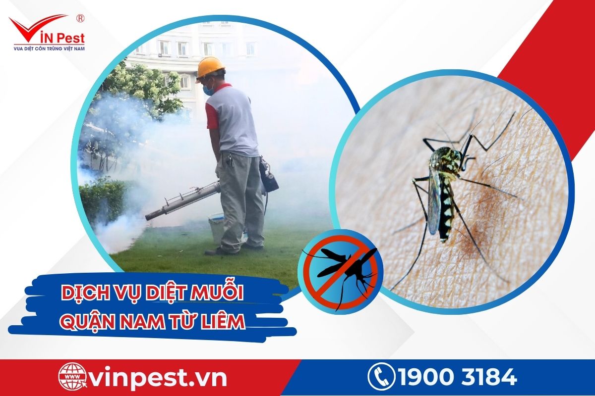 dịch vụ diệt muỗi quận Nam Từ Liêm của Vinpest dịch vụ diệt muỗi quận Nam Từ Liêm của Vinpest