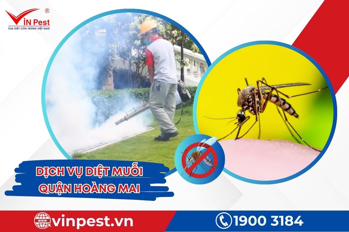 Dịch vụ diệt muỗi quận Hoàng Mai của VinPest Dịch vụ diệt muỗi quận Hoàng Mai của VinPest