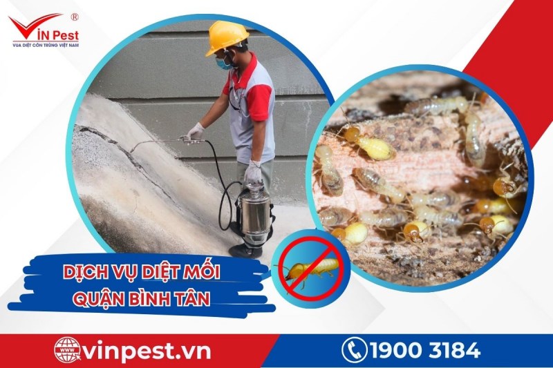 Dịch vụ diệt mối quận Bình Tân từ VinPest giúp loại bỏ tận gốc các ổ mối