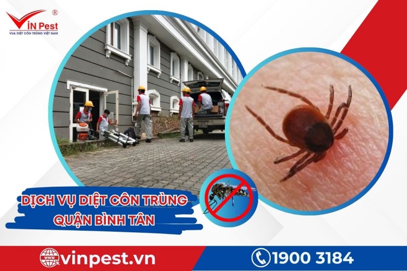 Dịch vụ diệt côn trùng quận Bình Tân tại VinPest cho hiệu quả lâu dài