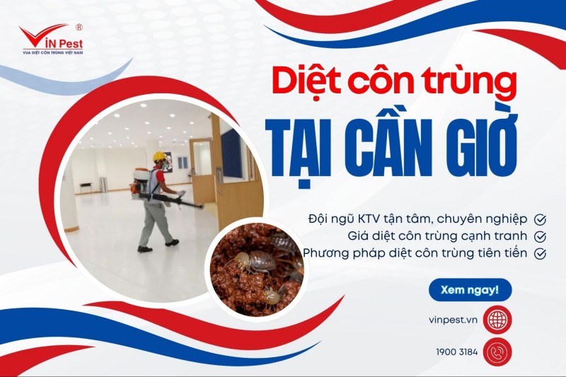 dịch vụ diệt côn trùng tại cần giờ