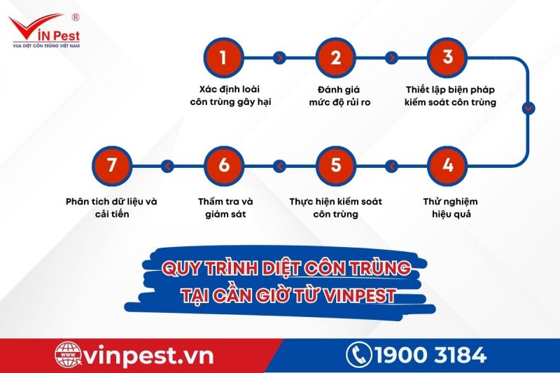 Quy trình thực hiện diệt côn trùng tại Cần Giờ chuyên nghiệp của VinPest