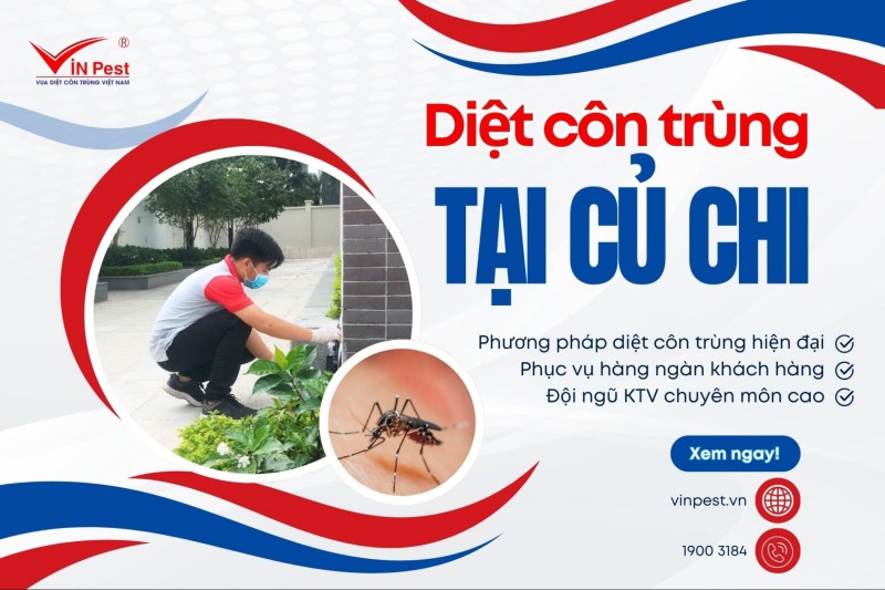 diệt côn trùng tại củ chi