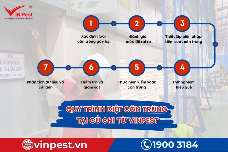 Cụ thể 7 bước trong quy trình diệt côn trùng tại Củ Chi từ VinPest