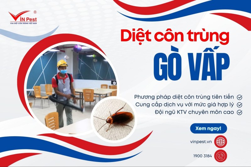 diệt côn trùng tại gò vấp