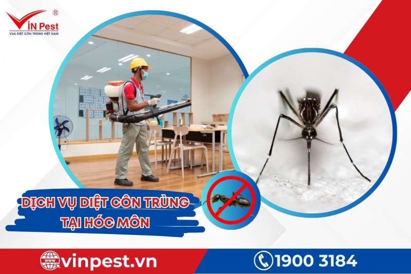 Dịch vụ diệt côn trùng tại Hóc Môn của VinPest mang lại hiệu quả tối ưu cho khách hàng