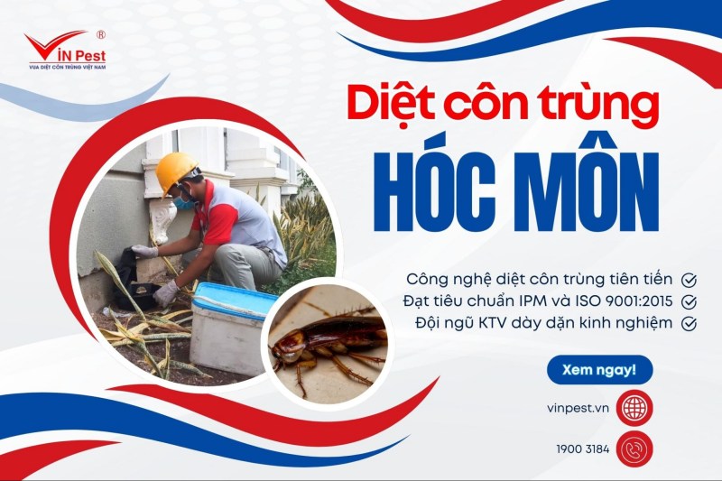 diệt côn trùng tại hóc môn