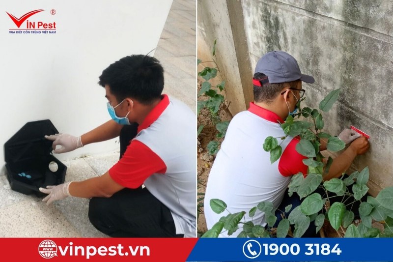 Đội ngũ VinPest thực hiện kiểm soát côn trùng tại Hóc Môn