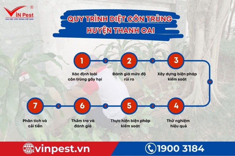Cụ thể 7 bước trong quy trình diệt côn trùng huyện Thanh Oai từ VinPest