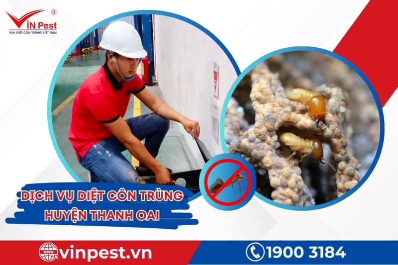 VinPest thực hiện diệt côn trùng huyện Thanh Oai đảm bảo thân thiện với môi trường