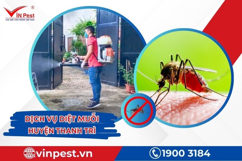 Diệt muỗi huyện Thanh Trì hiệu quả tại VinPest
