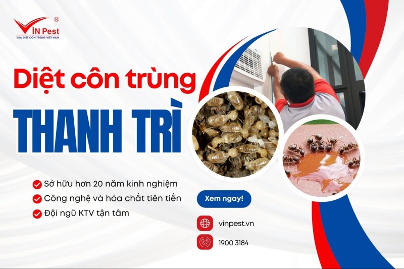 diệt côn trùng huyện thanh trì