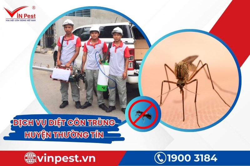 VinPest sở hữu đội ngũ giàu kinh nghiệm trong thực hiện diệt côn trùng huyện Thường Tín