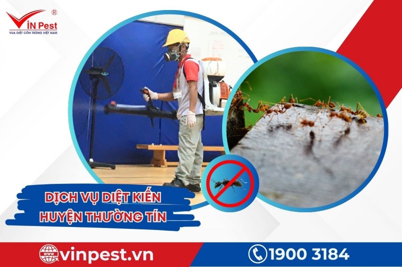 VinPest kết hợp đa dạng phương pháp khi triển khai diệt kiến huyện Thường Tín