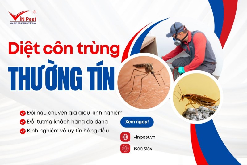 diệt côn trùng huyện thường tín