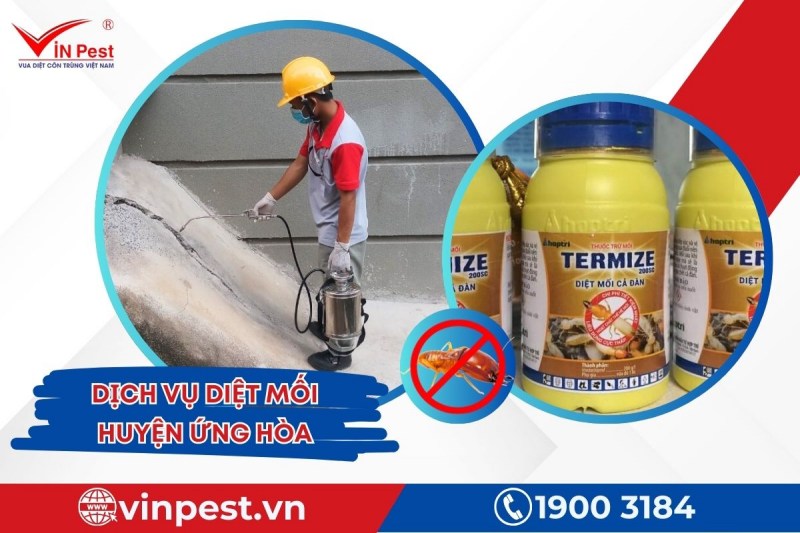 VinPest sử dụng hóa chất chuyên dụng trong diệt mối huyện Ứng Hòa