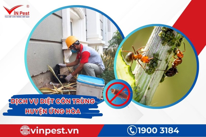 Diệt côn trùng huyện Ứng Hòa tại VinPest áp dụng công nghệ tiên tiến và an toàn