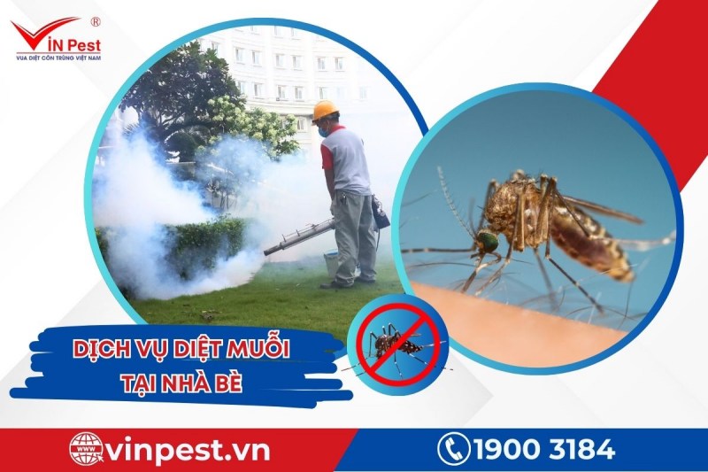 Kiểm soát muỗi hiệu quả từ dịch vụ diệt côn trùng tại Nhà Bè của VinPest