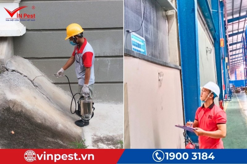 VinPest thực hiện diệt côn trùng quận Phú Nhuận theo kế hoạch đề ra