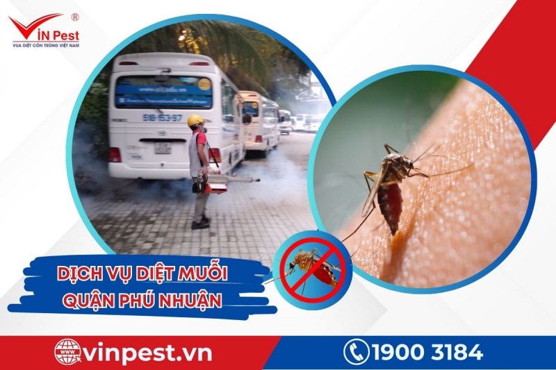 Diệt muỗi quận Phú Nhuận an toàn, hiệu quả từ dịch vụ do VinPest cung cấp