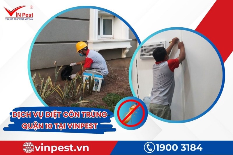 Dịch vụ diệt côn trùng quận 10 tại VinPest được thực hiện với phương pháp tiên tiến