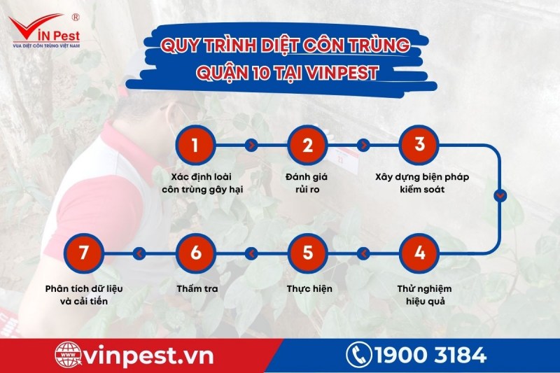 Diệt côn trùng quận 10 tại VinPest với 7 bước cơ bản