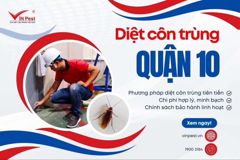 diệt côn trùng quận 10