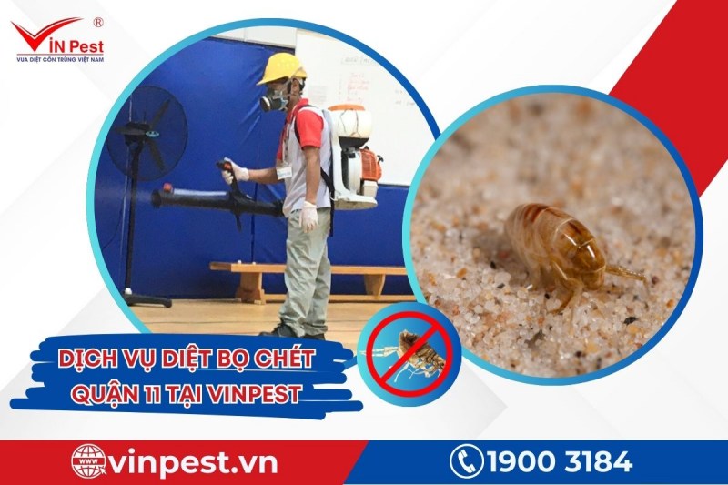 Dịch vụ diệt bọ chét quận 11 tận gốc tại VinPest