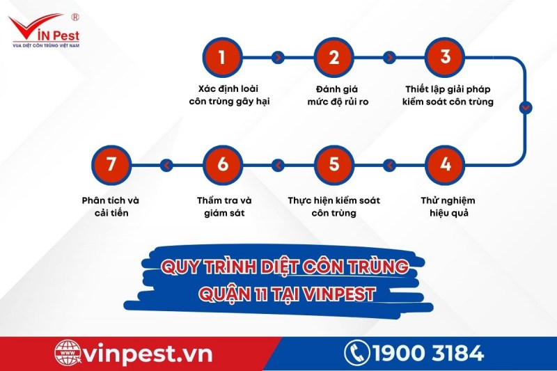 Chi tiết quy trình diệt côn trùng quận 11 từ VinPest