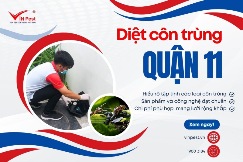 diệt côn trùng quận 11