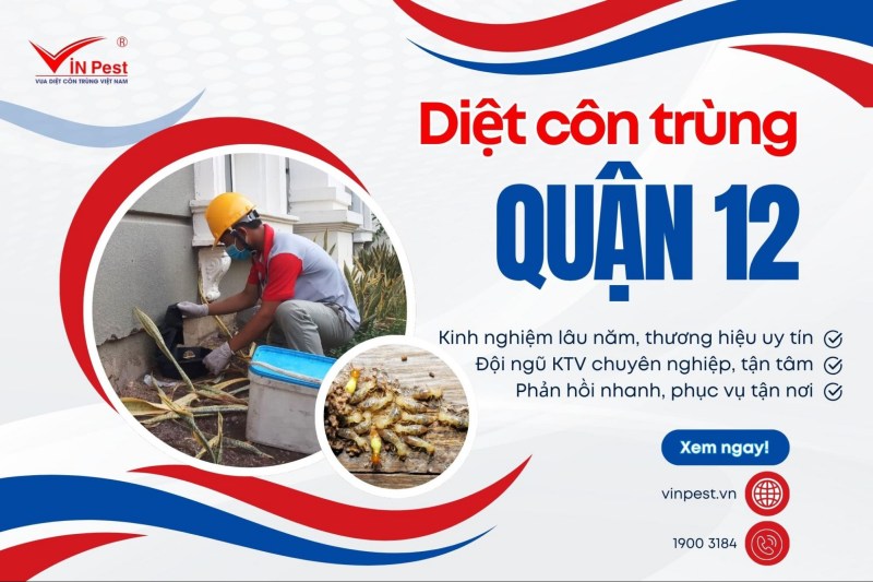 diệt côn trùng quận 12