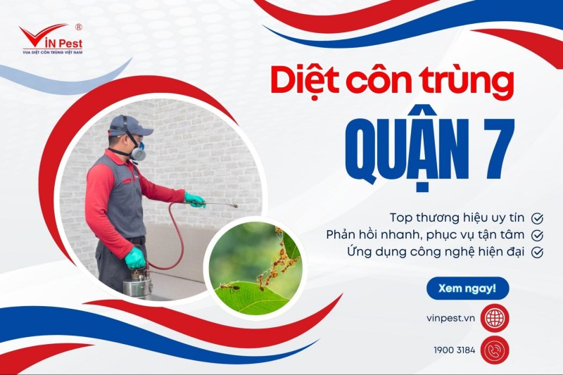 diệt côn trùng quận 7
