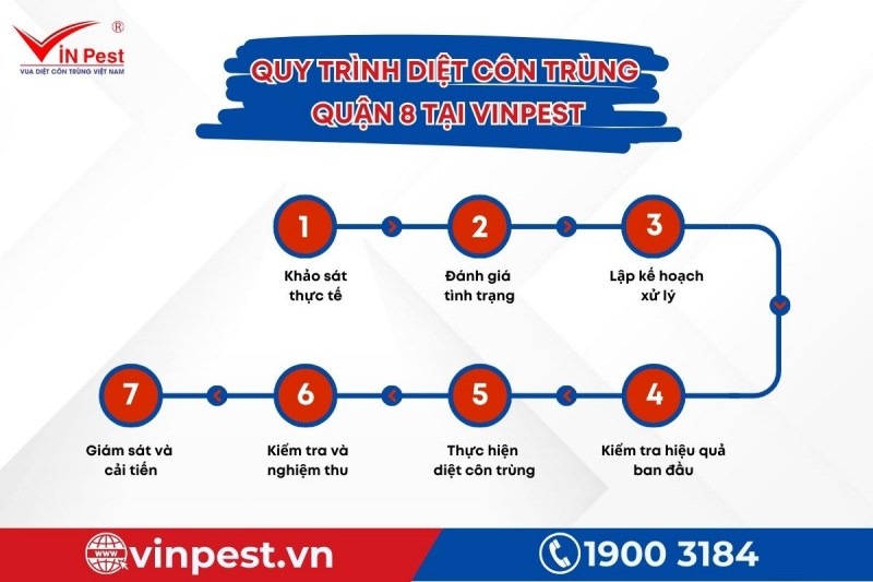 VinPest thực hiện quy trình diệt côn trùng quận 8 chuyên nghiệp