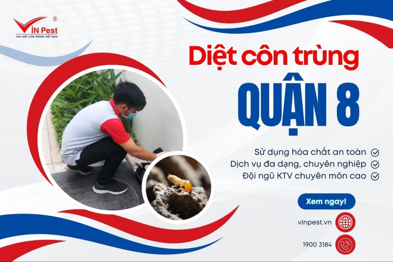 diệt côn trùng quận 8