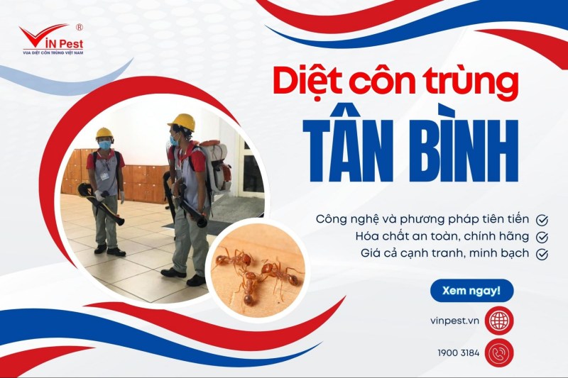 diệt côn trùng tại tân bình