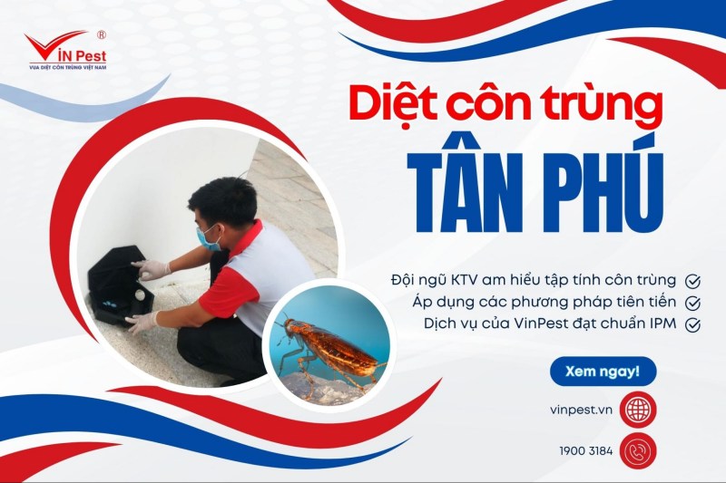 diệt côn trùng quận tân phú