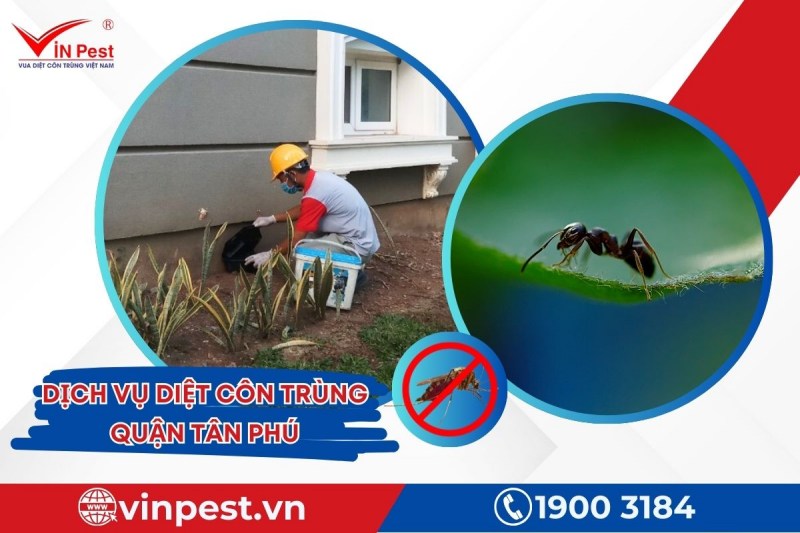 Dịch vụ diệt côn trùng quận Tân Phú từ VinPest có giá thành cạnh tranh