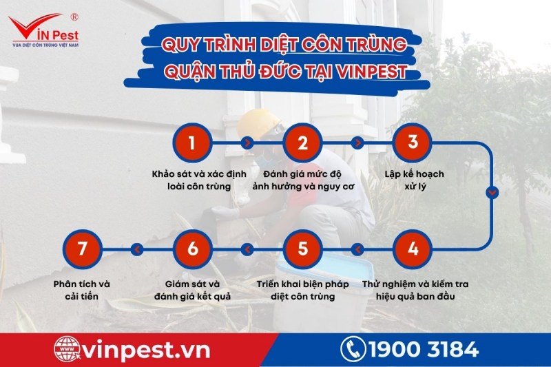 Diệt côn trùng Thủ Đức với quy trình chuyên nghiệp chỉ với 7 bước đơn giản