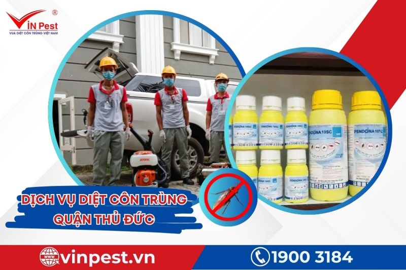Dịch vụ diệt côn trùng Thủ Đức tại VinPest luôn sử dụng hóa chất chính hãng, an toàn