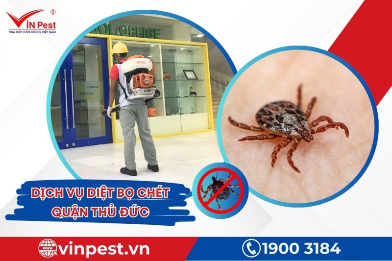 Dịch vụ diệt bọ chét Thủ Đức tận gốc tại VinPest