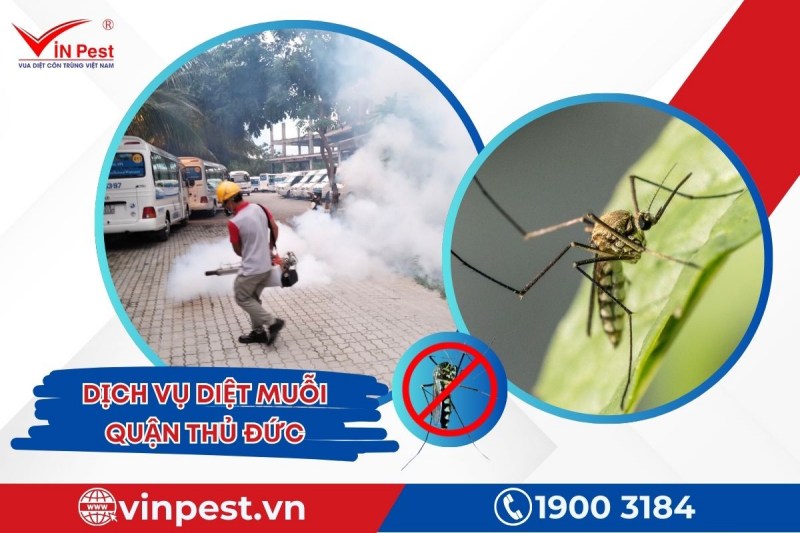 VinPest áp dụng công nghệ phun thuốc diệt muỗi tiên tiến tại Thủ Đức